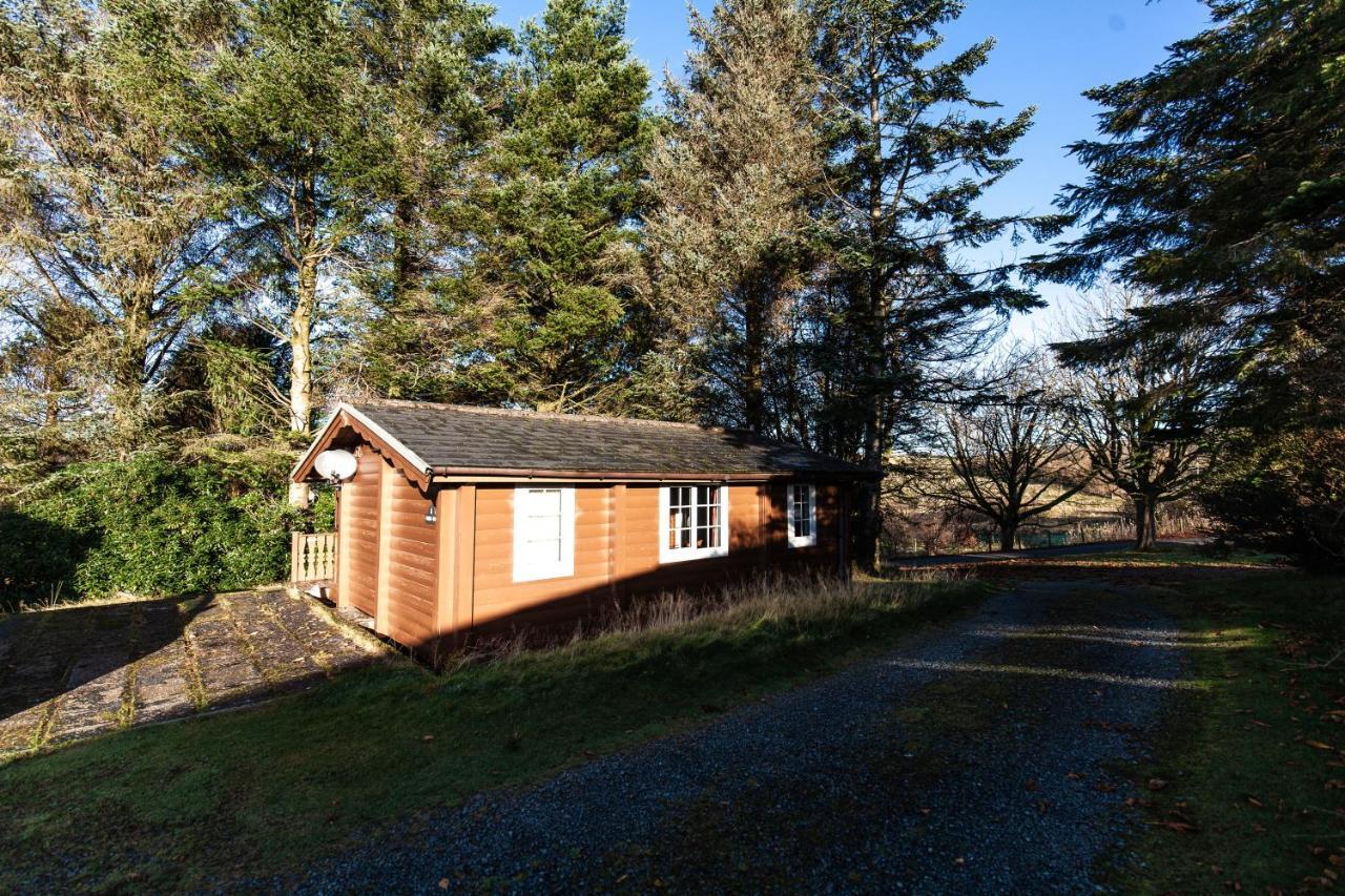 Stunning Log Cabin With Garden In Snowdonia - Hosted By Seren Short Stays Trawsfynydd Eksteriør bilde